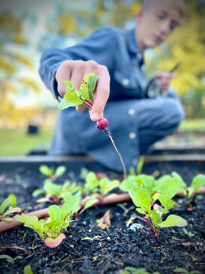 Garden at the farm school