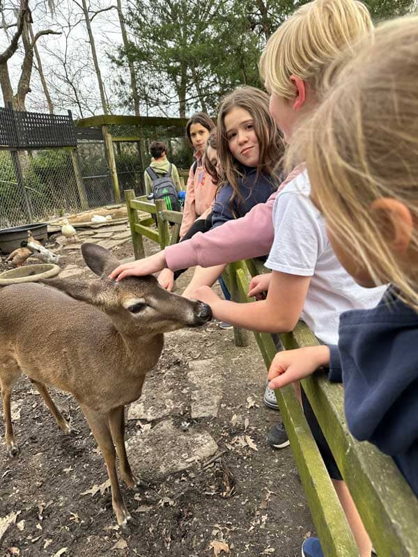 Elementary students at Sundrops Montessori